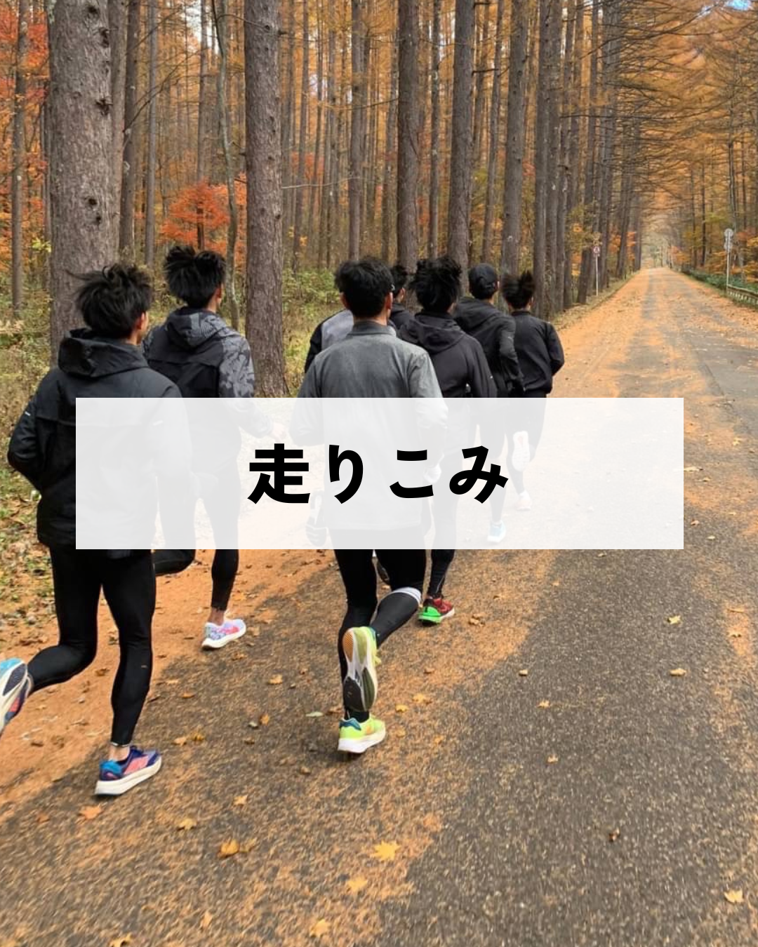 写真5