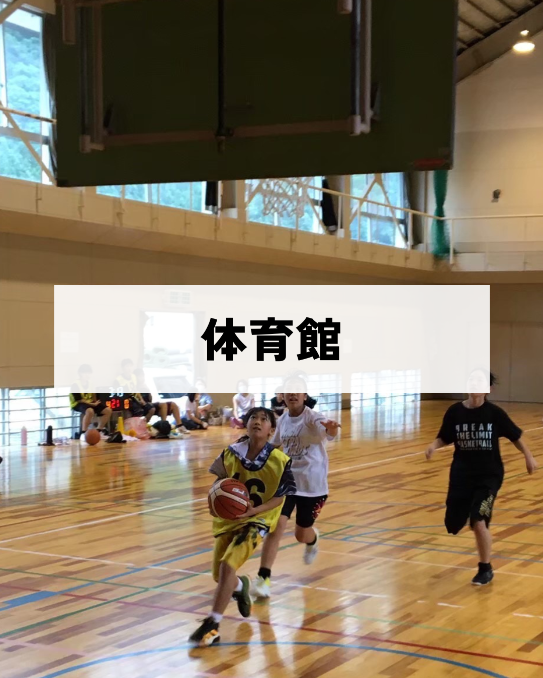 写真6