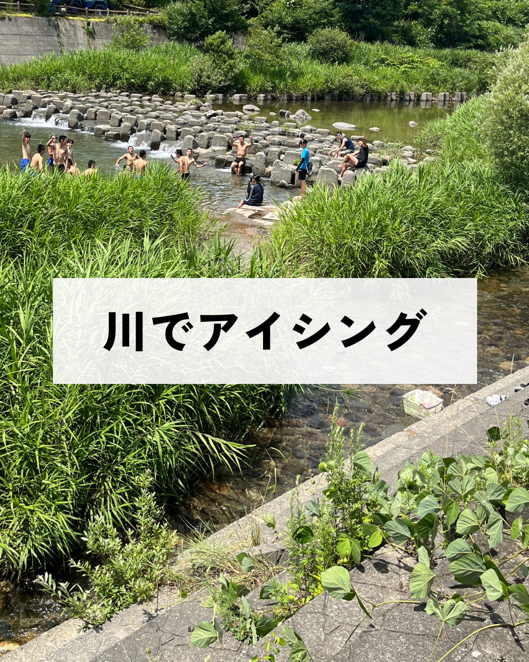 写真7