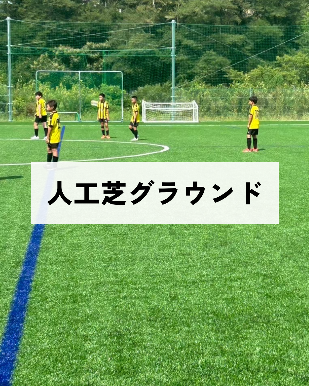 写真4